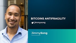 Jimmy Song BITCOIN ANTIFRAGILITY [upl. by Mikeb504]