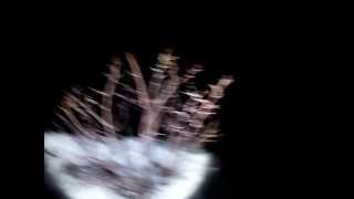 Bigfoot sighting in Nevada Mountains [upl. by Frodin]