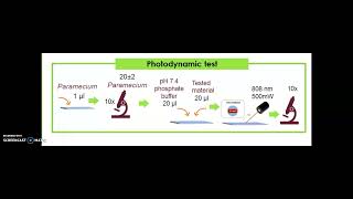 LIPOSOMES AND Au NP AS CARRIERS FOR INDOCYANINE GREEN AND ITS POTENTIAL USE IN PHOTODYNAMIC THERAPY [upl. by Ellerd764]