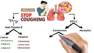 Pharmacology of the cough  Antitussive  Expectorant and Mucolytic drugs [upl. by Lemyt]