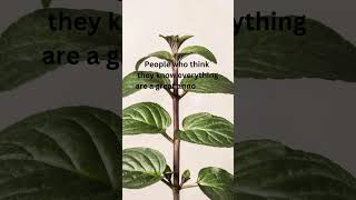 Annoyance quote shorts plants motivation [upl. by Anawad]