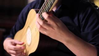 Canarios  Gaspar Sanz  Baroque Guitar [upl. by Aaberg]