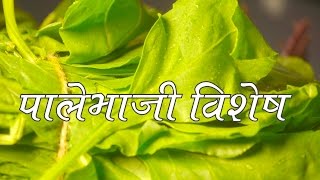 श्रावण रेसिपीज  GREEN LEAFY VEGETABLES RECIPES  AUTHENTIC MAHARASHTRIAN FOOD [upl. by Oriaj]