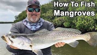 Fishing In Mangroves How To Catch More Redfish Snook amp Trout [upl. by Gnilrac]