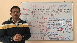 Receptor Pharmacology Part 01  Agonist  Inverse Agonist  Antagonist  Partial Agonist [upl. by Annahtur]