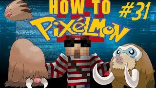 Piloswine and Mamoswine revisited How to Pixelmon 30 31 [upl. by Natfa]