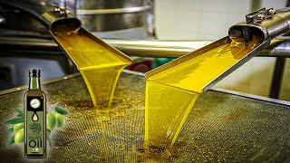 Olive Oil Making Process  Modern Olive Harvesting Technology  How Olive Oil Is Made [upl. by Iren]