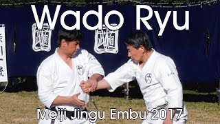 Wado Ryu Jujutsu Kempo Karatejutsu Demonstration  Meiji Jingu Reisai 2017 [upl. by Reeta]