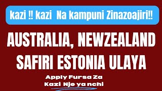 kazi New Zealand Australia Safiri Estonia kusoma kwa pesa kidogo [upl. by Nhguavoj256]