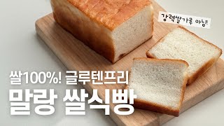 🌾반죽없이 발효 30분 진짜 쉬운 쌀100식빵 만들기  쌀식빵 만드는 법 글루텐프리 베이킹 비건 베이킹 [upl. by Dora]