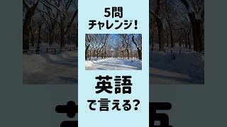 【これ全部英語で言える？】5問英会話｜寒い冬16～20 MimiListening 英語リスニング 英語聞き流し [upl. by Yanttirb682]