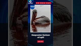 Deepwater Horizon disaster [upl. by Sig]