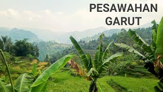 Pelosok desa garut bagian selatan [upl. by Ahtaga272]