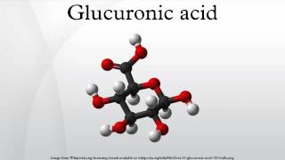 Glucuronic acid [upl. by Nickerson646]