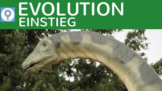 BIOLOGIE NACHHILFE  Evolution amp Entwicklung  die neue Serie  Evolution 1 [upl. by Setiram]