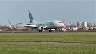 Nice Transavia 737 landing  AmsPlaneSpotting [upl. by Chadburn]