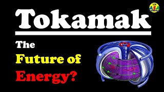 What is a Tokamak Working and Future [upl. by Aihpledalihp745]