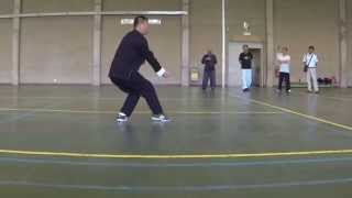 Li Ting Kui 李廷奎 Chang Chun Bajiquan 长春八极拳  xiaojia 小架 [upl. by Nnaxor]