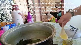 Sambong gamot sa Gout pananakit at pamamaga ng kasokasoan Kedney [upl. by Enayd114]