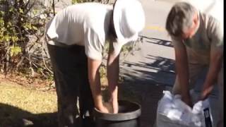 Coping with Surfacing Roots in the Landscape  Prune Like a Pro [upl. by Aicilyhp523]