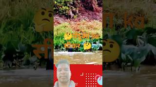 Tendua ka khatarnak sikar trending funny viralvideo animals crocodile wildlife mr jharkhand [upl. by Svoboda]