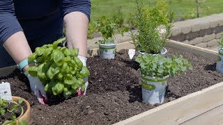 Planting an Herb Garden [upl. by Ynohtnad513]