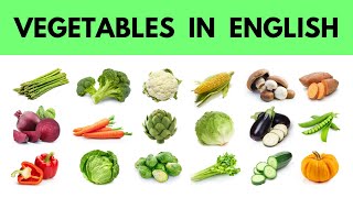 Vegetables in English  Vegetables Name  English Vocabulary [upl. by Marsha269]