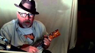 perry the platypus theme song sotu 207 ukulele cover phineas and ferb [upl. by Scrivens377]