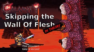 Skipping the Wall Of Flesh in Terraria Calamity Mod In Theory [upl. by Rey385]