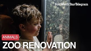 First Look Inside Fort Worth Zoo’s Newly Renovated Mountains and Desert Habitat [upl. by Nirag553]