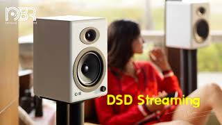 DSD Music Streaming  Audiophile Music Collection 2020  Audiophile NBR STORE [upl. by Bodi]