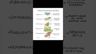 Types of inflammatory exudate nclexreview nclex nclexstudying [upl. by Wahlstrom]