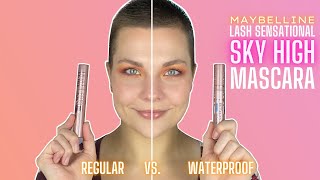 NEW MAYBELLINE SKY HIGH MASCARA VS LOREAL VOLUMINOUS LASH PARADISE  BEST DRUGSTORE MASCARA 2020 [upl. by Hsilgne820]