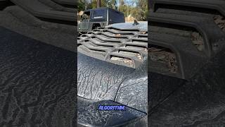 Car detailing for YouTube algorithm  rainyday detailing automobile cardetailling foamagic [upl. by Buxton890]