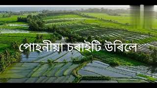 Puhoniya Soraiti Urile Assamese Song  Cover By Pranjal Gogoi [upl. by Efthim242]