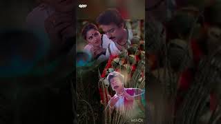 Salangai oli 1983 song 🥰🥰🥰Whatsapp status short [upl. by Alad]