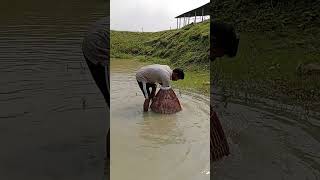 big fishing videos  polo fishing fish shorts shortsfeed fishing amazing villagelife part192 [upl. by Anec58]