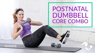 25 Minute Postnatal Dumbbell Core Combo Workout for Postpartum Diastasis Recti CSection [upl. by Morey]