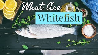 What is Whitefish  History  Cooking  The Types and Much MORE [upl. by Buyers]