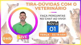 85  FALE COM O VETERINÁRIO  Live gratuita para você perguntar tudo sobre seu cachorro ou gato [upl. by Atenek580]