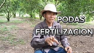 Fertilizacion Arboles Frutales [upl. by Aneekahs]