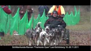 SchlittenhundeRennen quotFrankonia Openquot LaufSchönberg 1920112011 [upl. by Bj]