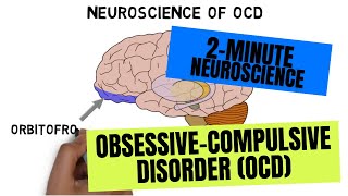 2Minute Neuroscience ObsessiveCompulsive Disorder OCD [upl. by Henricks816]