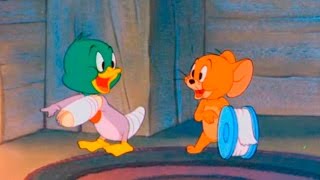 Tom and Jerry  Episode 64  The Duck Doctor 1952 [upl. by Jessika]