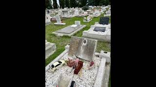 East Rockingham pioneer cemetery [upl. by Dorri]