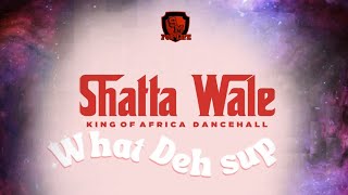 Shatta Wale  What Deh Sup SHATTA MUSIC Audio [upl. by Yssis]