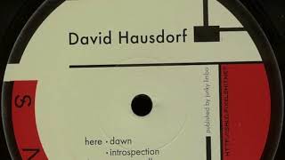 David Hausdorf  introspection SALO [upl. by Maureen]