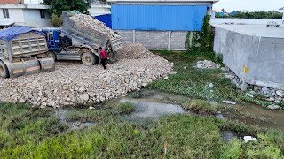 Just Filling Stone in Flooded Areas Use Dump Truck Unloading Stone and Bulldozer Push Stone [upl. by Sudaorb]