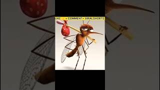 Why Mosquitoes Bite 😱 Most Dangerous Insect in The World  MOSQUITO  shorts short [upl. by Krm757]