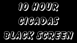 Cicadas 2024 10 HOURS Black Screen Video Loop [upl. by Ona703]